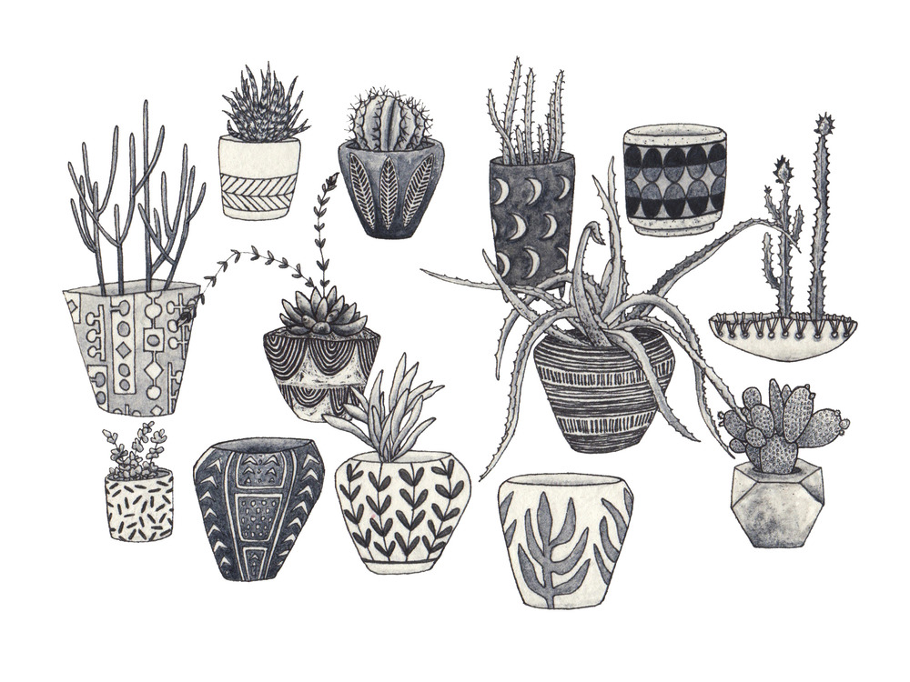 Cactus Drawing Black And White at Explore