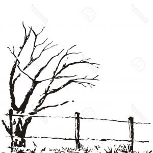 300x300 cactus drawing black and white cactus drawing vector id lazttweet - Cactus Drawing Black And White