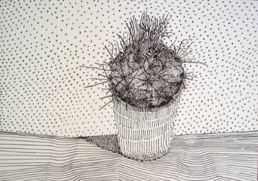 375x264 Cactus Drawing - Cactus Drawing Black And White
