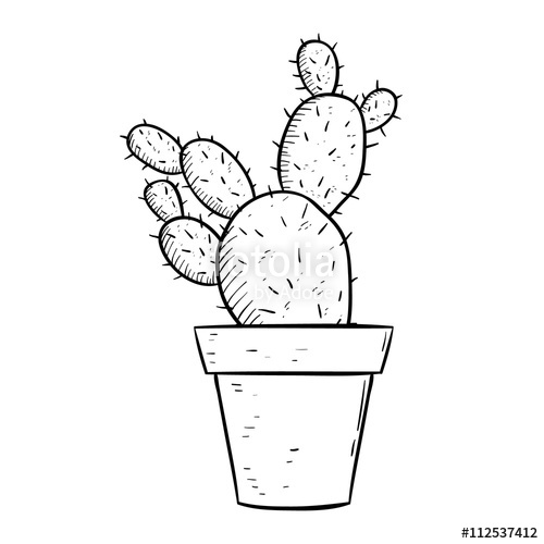 Cactus Drawing Black And White at Explore