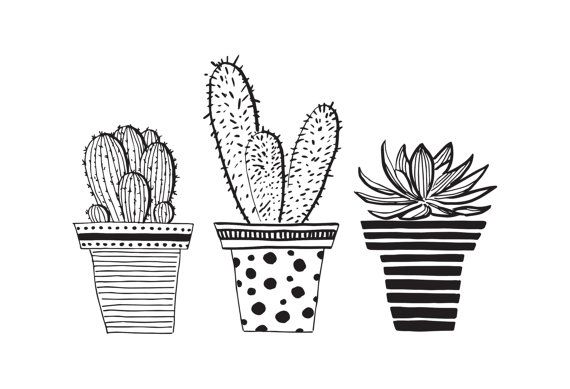 Cactus Drawing Black And White at PaintingValley.com | Explore ...