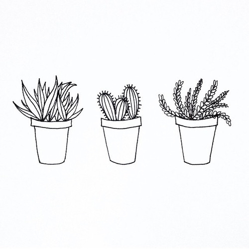 500x500 Plants Draw Uploaded - Cactus Drawing Black And White