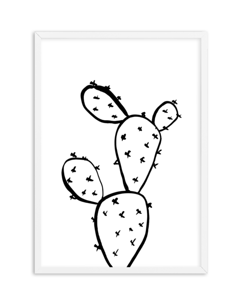 481x600 Prickly Pear Cactus Olive Et Oriel Shop Art Framing Online - Cactus Drawing Black And White