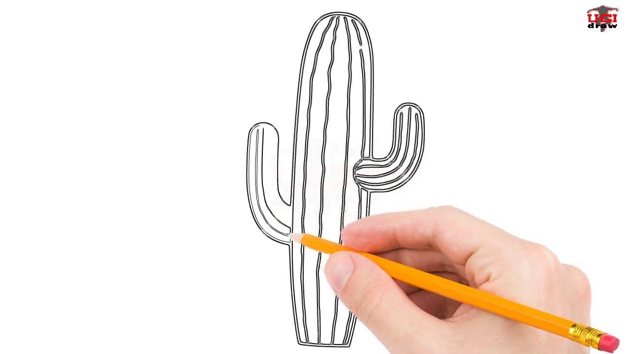 1280x720 How To Draw A Cactus Step - Cactus Drawing Easy