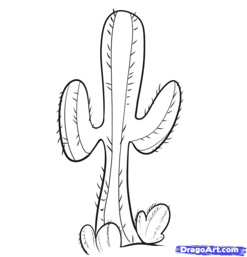 816x849 learn how to draw cacti, stuff, pop culture, free step - Cactus Drawing Easy
