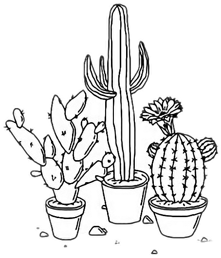 Cactus Drawing Outline at PaintingValley.com | Explore collection of ...