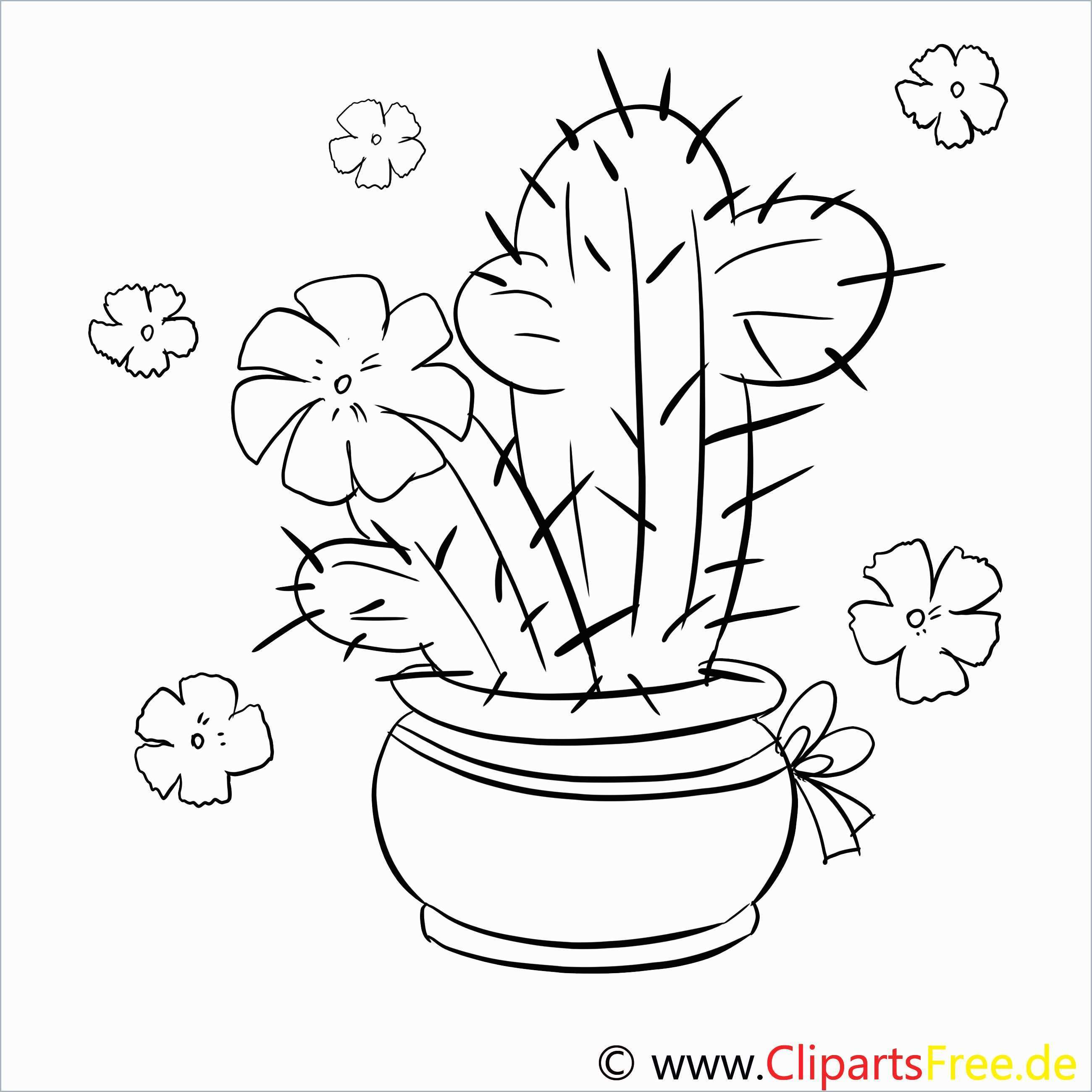 Download Cactus Drawing Outline at PaintingValley.com | Explore ...