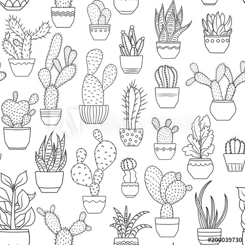500x500 Potted Houseplants Seamless Pattern Texture Exotic Cactus - Cactus Drawing Outline