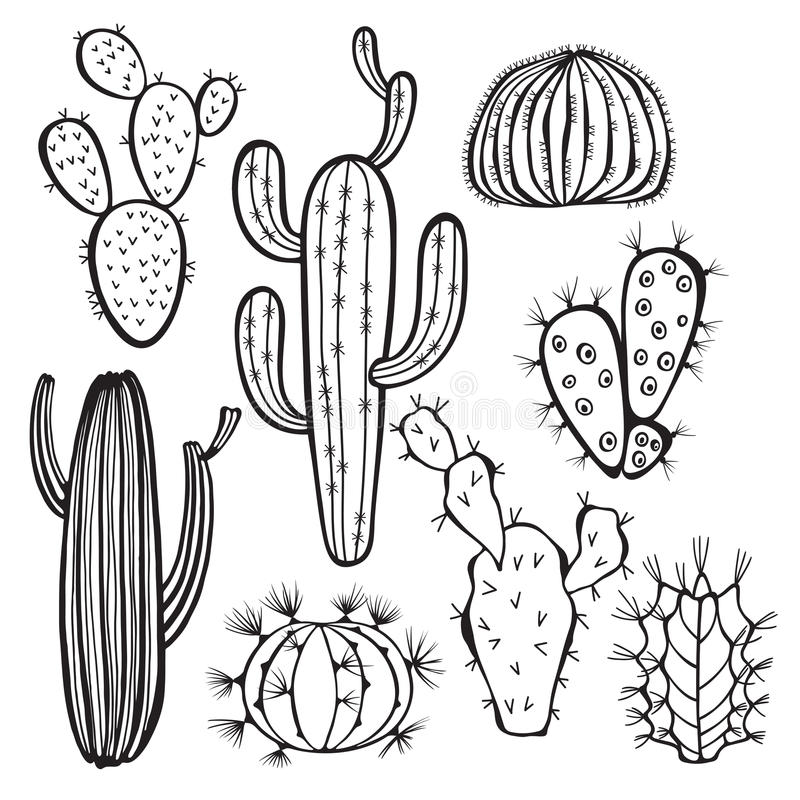 800x800 Cactus Drawing Outline For Free Download - Cactus Drawing Outline. 