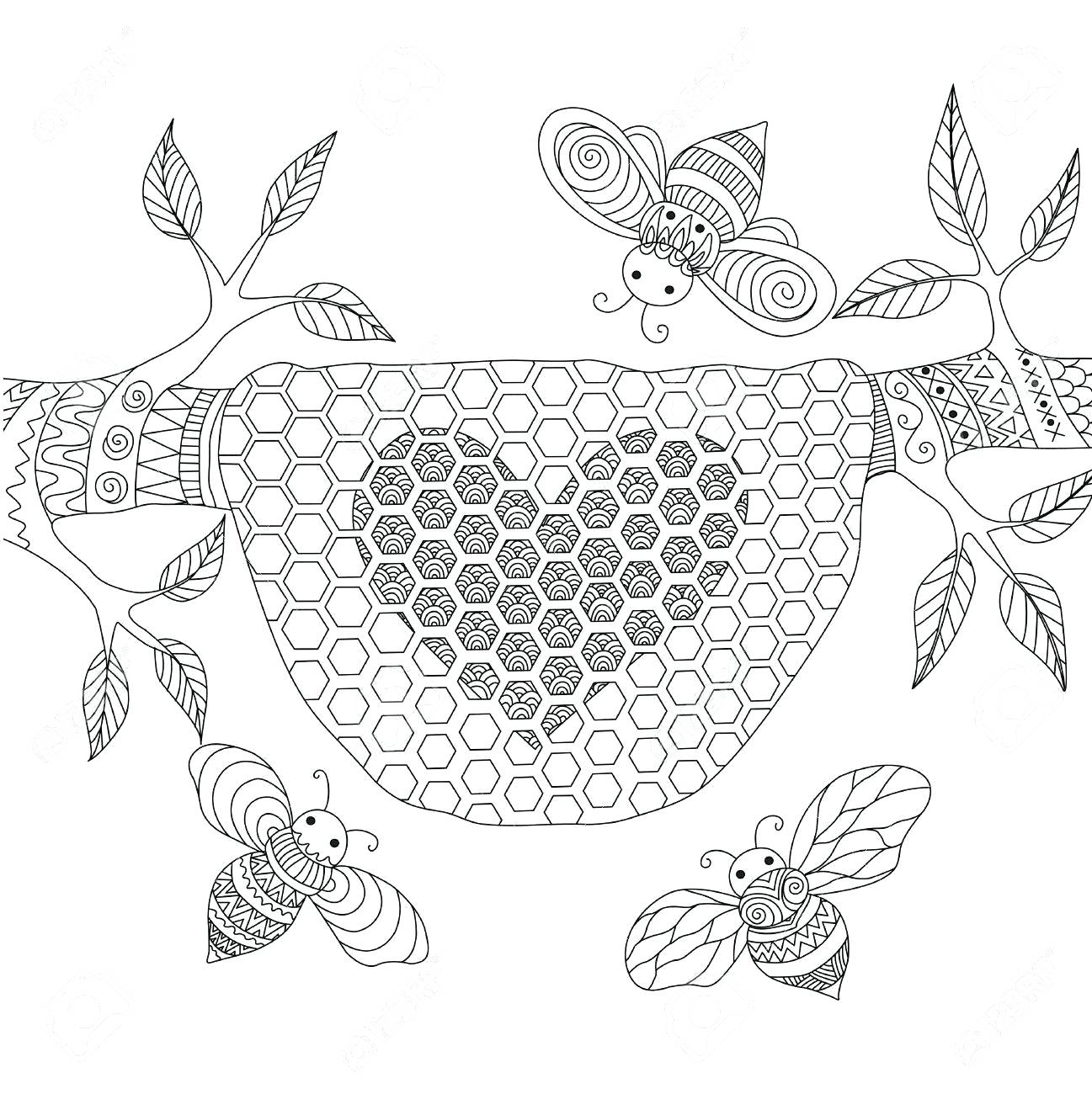 1297x1300 Cactus Drawing Outline - Cactus Drawing Outline