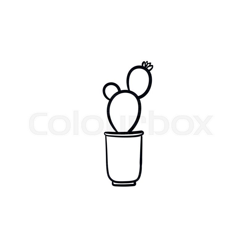 800x800 Cactus Hand Drawn Vector Outline Stock Vector Colourbox - Cactus Drawing Outline