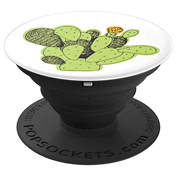 Cactus Flower Drawing