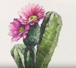 300x267 How To Draw A Cactus Flower Step - Cactus Flower Drawing
