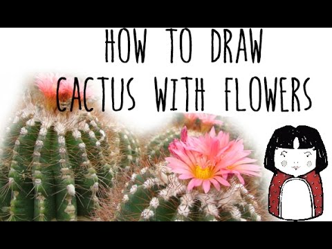 480x360 How To Draw A Cactus With Flowers - Cactus Flower Drawing