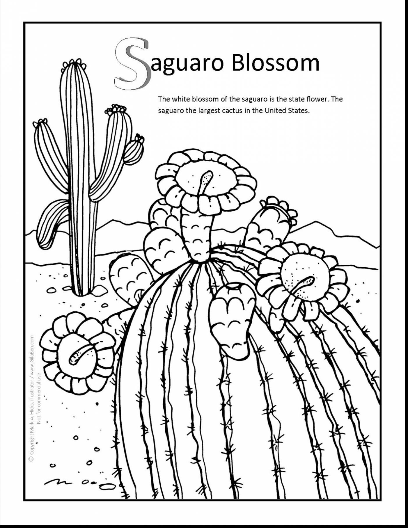 1402x1815 saguaro cactus flower drawing cactus coloring - Cactus Flower Drawing