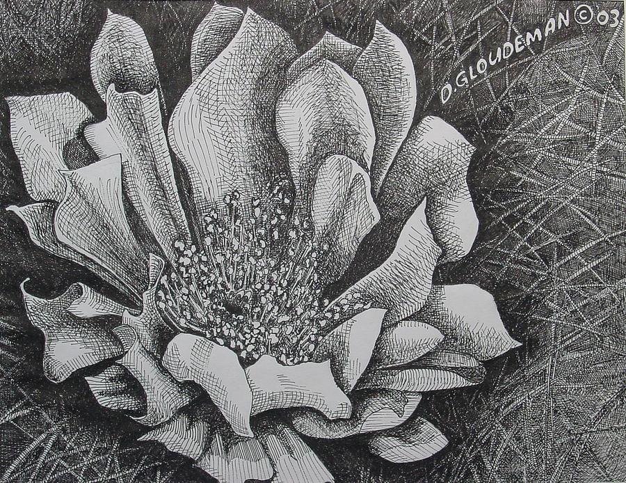 900x694 Cactus Flower Drawing - Cactus Flower Drawing