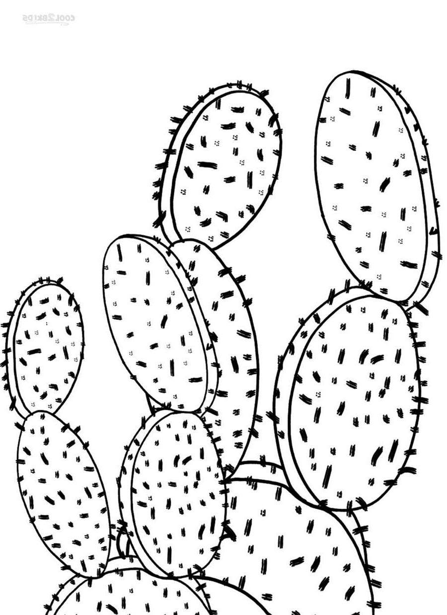 Cactus Line Drawing at PaintingValley.com | Explore collection of