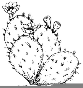 281x300 Cactus Line Drawing Free Images - Cactus Line Drawing