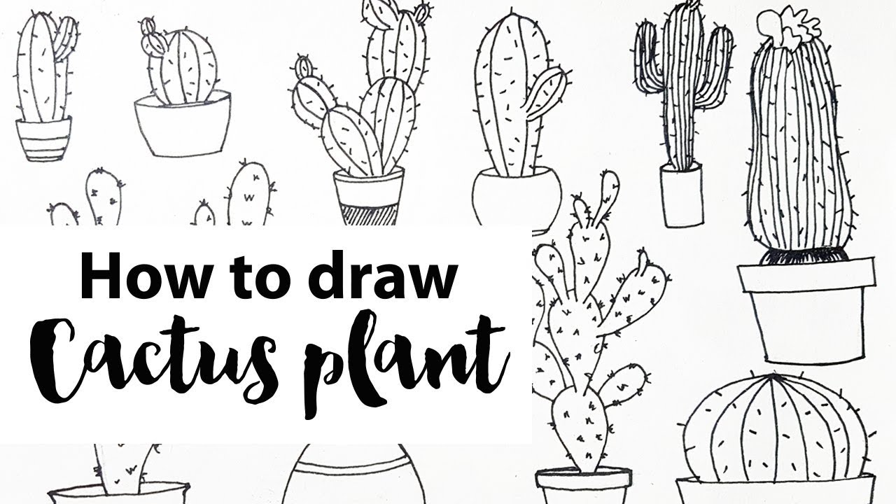 How To Draw Simple Succulent Or Cactus Doodles - Cactus Line Drawing. 