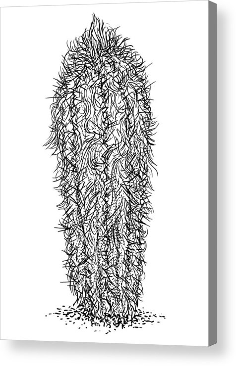 476x740 Old Man Cactus Illustration, Drawing, Engraving, Ink, Line Art - Cactus Line Drawing