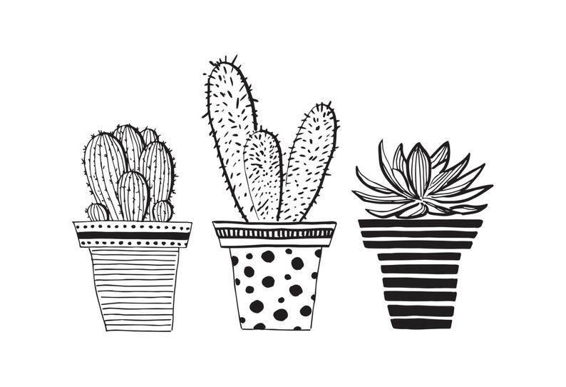 794x542 three sweet potted cactus pen drawing cactus illustration etsy - Cactus Line Drawing