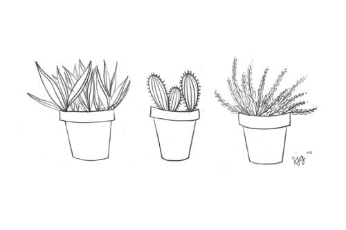 500x333 drawing mine pencil sketch doodle doodles cactus lineart cacti - Cactus Line Drawing