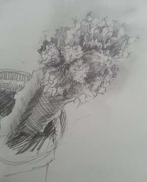 Cactus Pencil Drawing