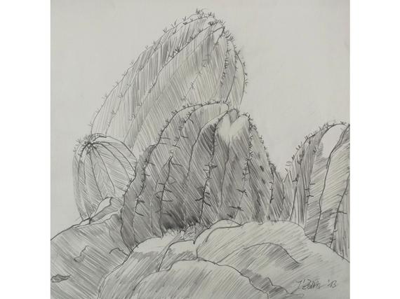 570x427 Cactus Drawing Pencil Drawing Of Plants Original Drawing Etsy - Cactus Pencil Drawing