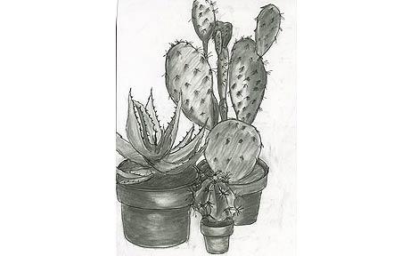 460x288 painting flowers drawing on our readers' creativity - Cactus Pencil Drawing