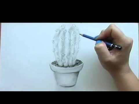 480x360 Still Life Drawing Tutorial Cactus - Cactus Pencil Drawing