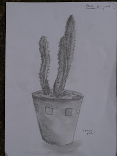 240x320 art foundation work drawing lesson - Cactus Pencil Drawing