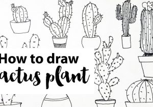 300x210 Cactus Plant Drawing - Cactus Plant Drawing