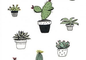 300x210 cactus plant drawing set tropical plants hand drawing cactus - Cactus Plant Drawing