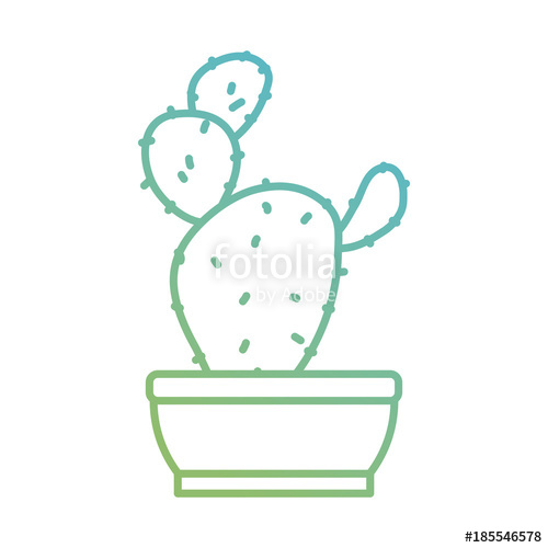 500x500 Cactus Plant Draw Stock Image And Royalty Free Vector - Cactus Plant Drawing