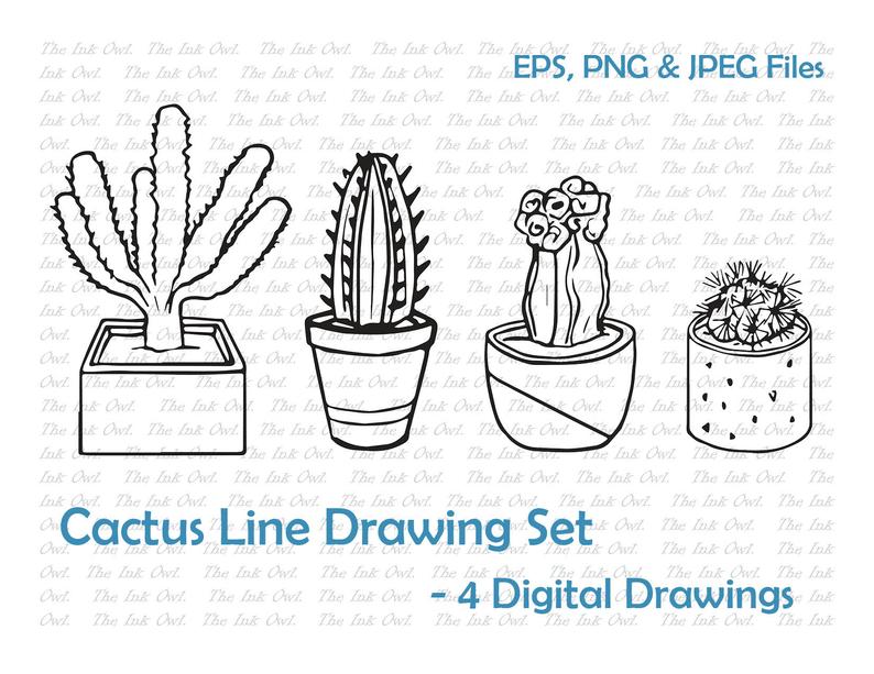 794x613 indoor cactus plants line drawing set succulents digital etsy - Cactus Plant Drawing