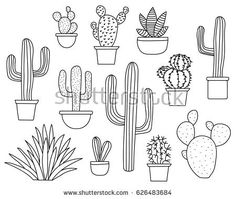 236x199 Line Drawing Of Cactus - Cactus Plant Drawing