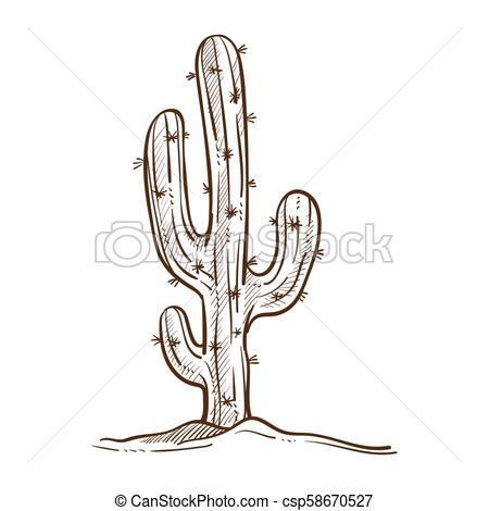 450x470 Mexican Cactus Plant Monochrome Sketch Outline Vector Illustration - Cactus Plant Drawing