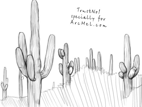 470x352 Succulent Plant Drawings - Cactus Plant Drawing