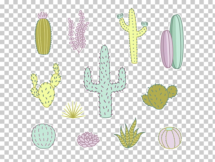 728x550 cactaceae succulent plant drawing cartoon cactus succulents - Cactus Plant Drawing