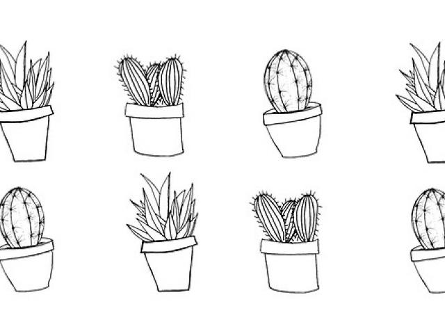 640x480 Drawn Cactus Tumblr Transparent - Cactus Tumblr Drawing