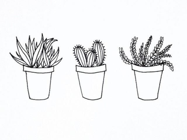640x480 Drawn Cactus Tumblr Transparent - Cactus Tumblr Drawing