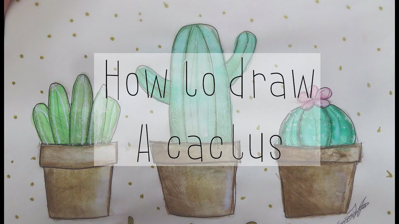 1280x720 How To Draw A Cactus Tumblr Drawicorn - Cactus Tumblr Drawing