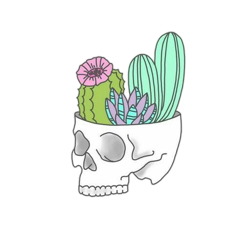 500x500 Plant Cute Squeletton Tumblr Cactus Pretty Cool - Cactus Tumblr Drawing