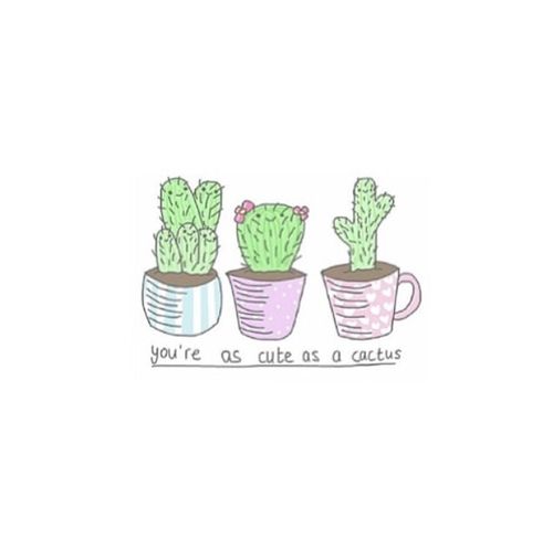 500x497 Tumblr Cactus Drawing - Cactus Tumblr Drawing