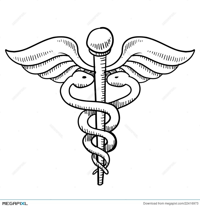 800x830 caduceus drawing illustration - Caduceus Drawing