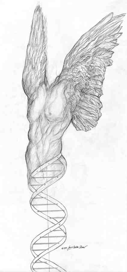 422x900 mmvr caduceus - Caduceus Drawing