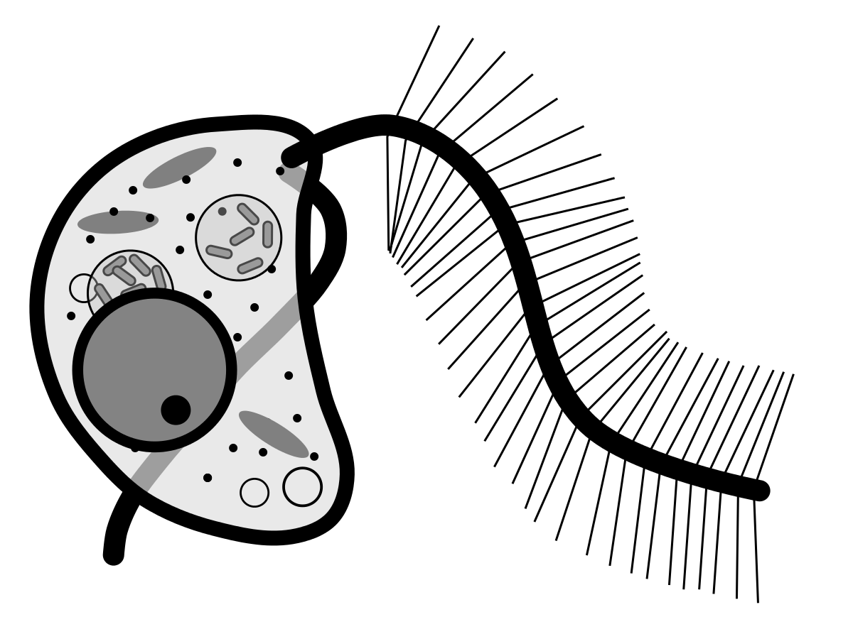 1200x900 cafeteria - Cafeteria Drawing