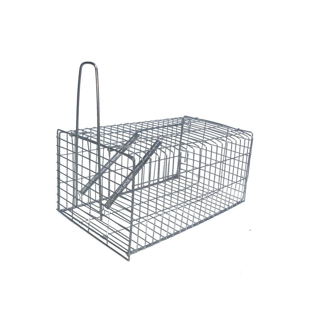 1000x1000 drawing the grid as a cage or trap - Cage Drawing