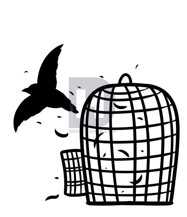 619x720 drawing a bird cage tattoo, step - Cage Drawing