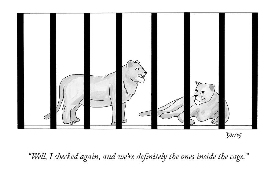 900x570 two lions in a cage converse drawing - Cage Drawing